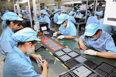 Computers lead in export revenue in year to mid-June