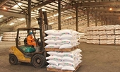 Fertiliser exports decrease in both volume, value
