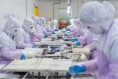 Seafood enterprises change their strategy of keeping export orders