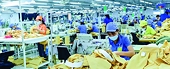 Export in the second half of 2023: "Emerging from the hardship"