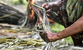 Bangladesh: Addressing India’s anti-dumping duty on our jute products