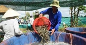 Forum discusses measures to reduce costs for shrimp industry