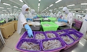 CPTPP still brings advantages to Vietnamese seafood in 2023