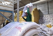 Vietnam to balance rice export to ensure food security amid global rice shortage