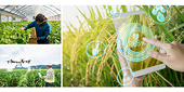 Agriculture - pillar of support for national economy