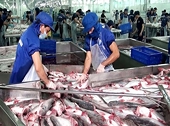 Plenty of room for Vietnam's seafood exports to the UAE