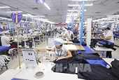 Vietnam Australia’s largest cotton importer: Authority