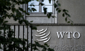 US’ new tariffs on tin mill steel unfairly target China, ‘in violation of WTO rules’