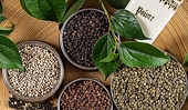 Unpredictable export pepper price