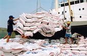 Cautiously "snap" the "golden" opportunity to export rice