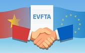 Evfta Boosts Vietnam’s Agricultural Product Exports To Eu Market