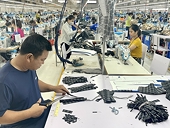How to develop sustainable exports and diversify markets?