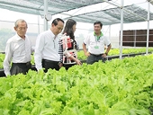 Many areas need improvement to enhance export capacity for the OCOP products