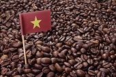 Vietnam lacks coffee for export amid rising prices