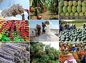 Agricultural exports bounce back