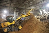 Ample room to fuel exports with wood pellets