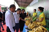 Many opportunities for Vietnamese agricultural products to be exported to Japan