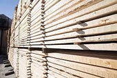 NAFTA Panel Rules Against U.S. Duties on Canadian Lumber: Ng