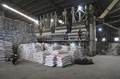 Việt Nam's rice exports revenue surges to new record