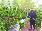 Businesses are looking for technology to "improve the quality" for exported agricultural products