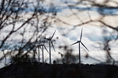 EU not ready for formal probe into China's wind industry -source
