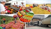 Efforts promoted for achieving agricultural products export target