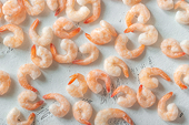 U.S: New Antidumping and Countervailing Duty Petitions Filed on Imports of Frozen Warmwater Shrimp from Ecuador, India, Indonesia, and Vietnam