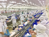 With increased orders, seafood exports for the whole year will reach 9 billion USD
