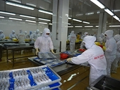 DOC requested to conduct anti-subsidy probe into Vietnam's frozen warmwater shrimp