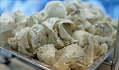 Vietnam to export first batch of bird's nests to China this month