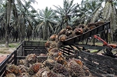WTO To Review EU Countervailing Duties On Biodiesel Imports From Indonesia