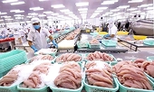 Seafood industry demonstrates recovery with noteworthy dividend payments from major enterprises