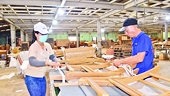 Wood industry exerts efforts to find new directions