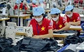 Exporters urged to early adapt to European Green Deal