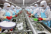 Shrimp, fish see high output but lower export value