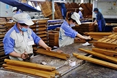 Forestry sector aims for 17.5 billion USD in exports next year