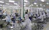 Seafood export enterprises navigate through storms