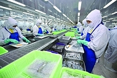 Importing and exporting with European - American markets decreased by 9.5%