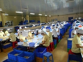 Cashew industry sees bright global prospects despite challenges