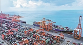 China Tariff reductions show country continues to open its market