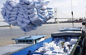 Rice exports to be driven by high prices, stable markets: insiders