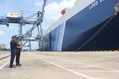 Increase in freight rates raises challenges for export businesses