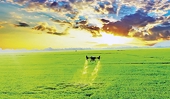 Vietnam promotes rice brand to gain firm foothold in European market