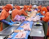 Vietnam's agricultural exports to China expected to rise