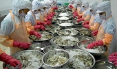 US accepting requests for reviews of antidumping and countervailing duties on certain exports