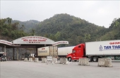 Export-import turnover reaches 1.41 billion USD during Tet