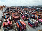High logistics costs a headache to Vietnam’s agricultural export