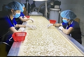 Vietnam-Australia trade ties expected to grow further