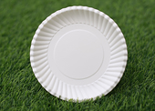 Paper plates - United States investigates anti-dumping and anti-subsidy measures