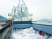 Vietnam businesses seize more opportunity due to an additional rice import quota of 1.6 million tons from Indonesia